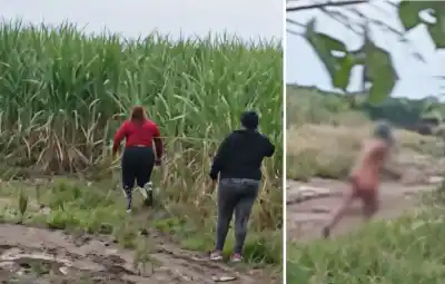 Santa Ana: El extraño hallazgo en un cañaveral que dejó a vecinos en alerta