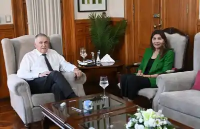 Jaldo y Mendoza trazan la hoja de ruta tucumana en el Senado: ¿Qué temas clave se cocinan?