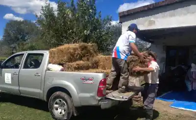 La Madrid: El intenso operativo que pocos conocen para salvar a las víctimas silenciosas de las inundaciones