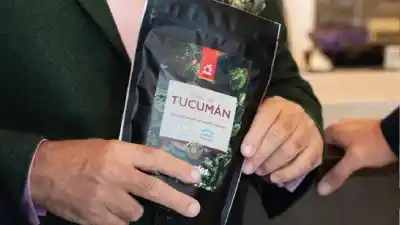 El secreto mejor guardado de Tucumán: el cultivo que podría cambiar la economía provincial