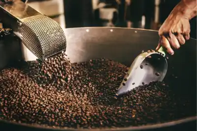 Tucumán hace historia: logra el primer café argentino de calidad internacional y cambia el paradigma productivo del país