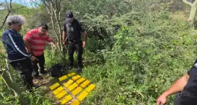 Operativo Lapacho: Abandonaron 25 kilos de cocaína en el monte y huyeron