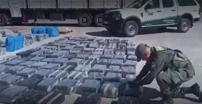 Interceptan camión con destino internacional y lo que hallaron en su interior desató una investigación judicial