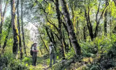 Una nueva figura legal que cambiará la forma de proteger la naturaleza en la provincia