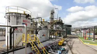 La industria azucarera se prepara para una nueva zafra: ¿Qué encontraron los expertos que cambia el panorama?
