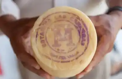 Un producto emblemático logra un reconocimiento histórico tras más de 15 años de trabajo