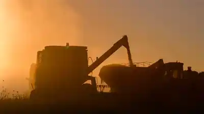 Un conflicto lejano dispara los costos locales: ¿Cuánto más pagarán los productores?