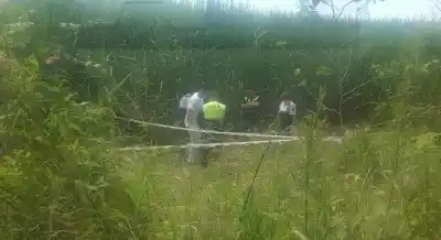 Hallaron un cuerpo sin vida sobre la autopista y lo que descubrieron dejó a todos en vilo