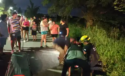 Impacto nocturno en la ruta: lo que encontraron en la escena dejó a los vecinos en vilo