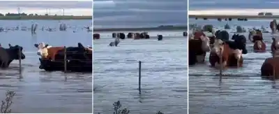 Un temporal arrasó con la luz y un puente clave: la furia del agua que sigue amenazando