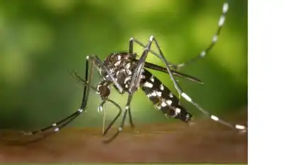 Un virus se propaga con rapidez en el norte: duplicaron los casos en una semana