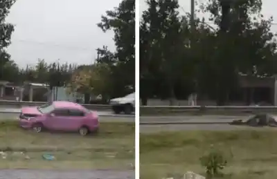 Un automóvil chocó contra un caballo en una avenida de alto tránsito: así fue el inusual accidente