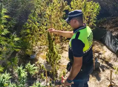 Hallazgo en el paraje El Remate: lo que encontraron entre los arbustos cerca del río