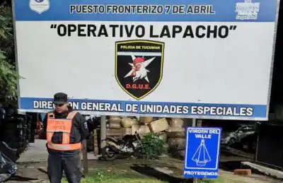 En un control rutinario descubrieron lo que transportaba un camión de encomiendas