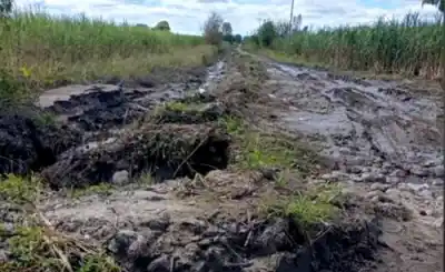 Caminos destrozados y puentes colapsados: la crisis que amenaza la zafra en el sur provincial