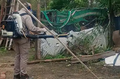 Operativos sanitarios se intensifican tras confirmarse decenas de casos de enfermedad transmitida por mosquitos