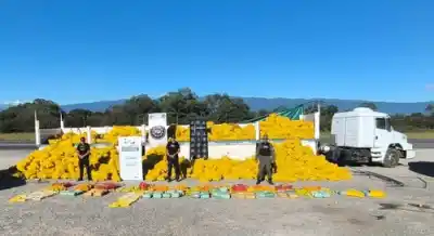Ocultaban algo más que limones: lo que hallaron en un camión durante un control de rutina