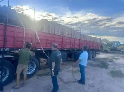 Interceptan toneladas de frutas sin papeles: el destino final que sorprendió a las autoridades