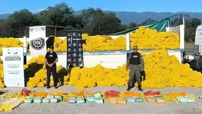 Descubren droga oculta en frutas: el método que preocupa a las autoridades
