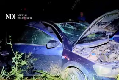 Esquivó animales en la ruta y terminó con su vehículo en una posición que nadie esperaba