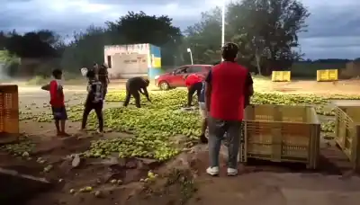 Un camión perdió el control y su carga terminó esparcida por la ruta: ¿qué transportaba?