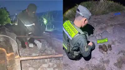 Un control de rutina terminó con un hallazgo que sorprendió a los agentes