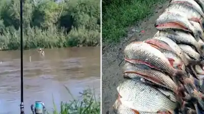 Denuncian pesca ilegal en el río Marapa y exigen más controles en el sur tucumano