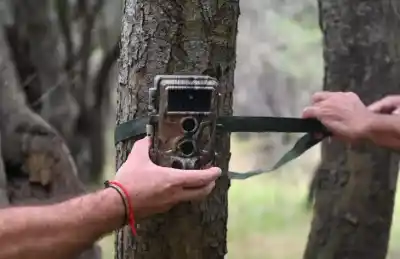 Instalaron un dispositivo secreto en el Parque Aconquija y lo que captaron sorprendió a los expertos