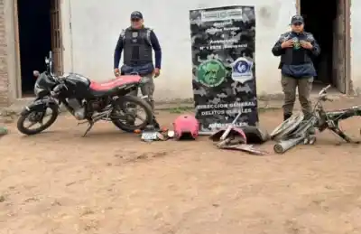Allanaron cuatro casas y lo que encontraron dentro dejó en shock a los investigadores