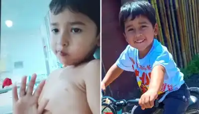 El pequeño de 4 años que fue atacado por una serpiente: la noticia que todos esperaban