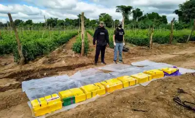 Investigan a una banda que usaba Tucumán como centro de acopio de cocaína para distribuirla en varias provincias