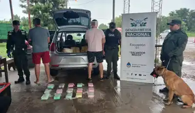 Preocupación en el NOA por la caída de los secuestros de droga: señalan salarios bajos, corrupción interna y falencias en los controles