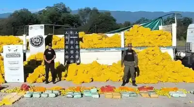 Ocultaban droga entre limones: el hallazgo que desarticuló una banda narco