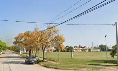 Aparecieron serpientes en un barrio de la capital y lo que encontraron los técnicos al llegar los dejó helados