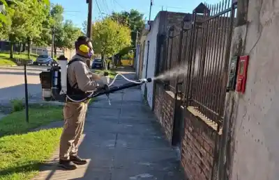 Alerta en Tucumán: el plan secreto contra el mosquito que preocupa a todos