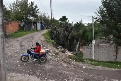 El chikungunya enciende alarmas en Tucumán: lo que los mosquitos están revelando de la ciudad
