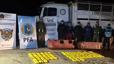Interceptaron un camión en la ruta y lo que hallaron dentro sorprendió a los efectivos
