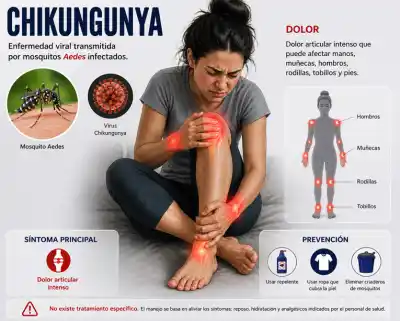 El dolor que no los deja vivir: los testimonios más impactantes del chikungunya en Tucumán