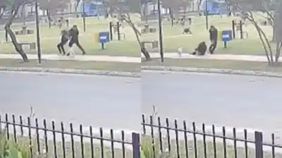 Paseaba a su perro cuando un ladrón la atacó por la espalda y la arrastró para robarle