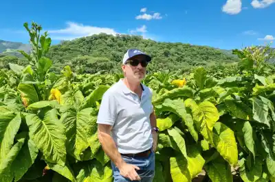 El negocio del tabaco en el norte está en terapia intensiva y no es solo por el dólar atrasado