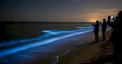 Un fenómeno bioluminiscente tiñó las playas de Punta del Este de colores inusuales