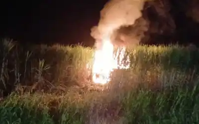 Chocaron contra un caballo y la camioneta volcó y se incendió: el insólito final que pocos esperaban