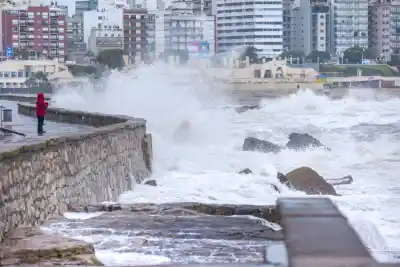 El refugio inesperado: 170 buques extranjeros huyeron de olas de 12 metros en la costa argentina