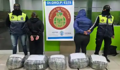 Via Cargo: hallaron 48 kilos de marihuana en una encomienda y el destino era Tucumán