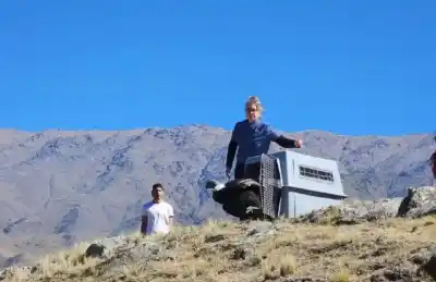 Lo encontraron en Alpachiri y lo que hicieron con el cóndor sorprendió a todos