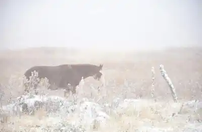 Aire polar llega a Tucumán: el fin de semana que podría blanquear los cerros