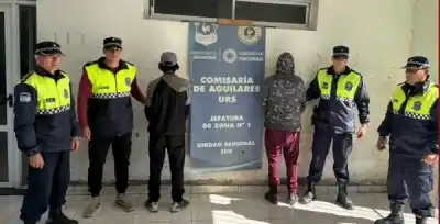 Robaron en el crematorio municipal: los allanamientos terminaron con dos detenidos