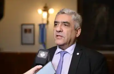 El Gobierno de Tucumán consiguió un volumen clave de gas para la industria: ¿qué sectores lo aprovecharán?