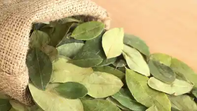 La crisis en Bolivia ya golpea el bolsillo en el norte argentino: faltante de hoja de coca y precios por las nubes