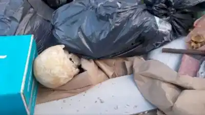 Hallan un cráneo humano en un volquete en Mar del Plata al inicio de la temporada turística